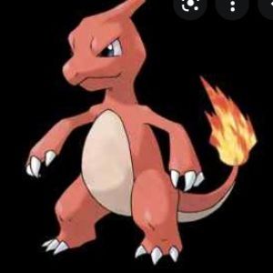 Meet your Posher, Riley